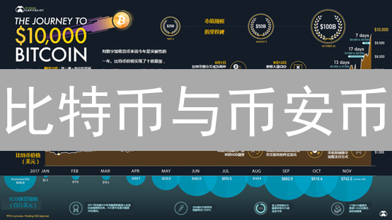 比特币与币安币：未来发展区别深度分析