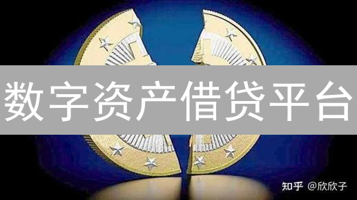 数字资产借贷平台：风险管理与可持续发展