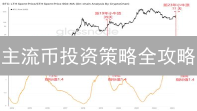 主流币投资策略全攻略：长期持有还是定投？