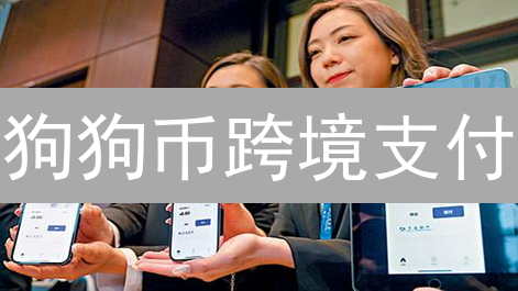 狗狗币跨境支付：速度更快？费用更低？颠覆传统汇款！