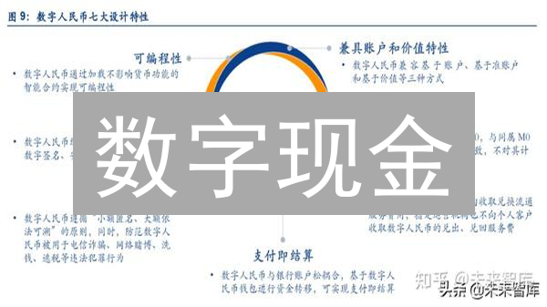 数字现金：匿名支付的未来？深度解析应用与挑战！