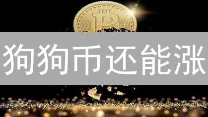 狗狗币还能涨？专家揭秘投资风险与未来价格预测！
