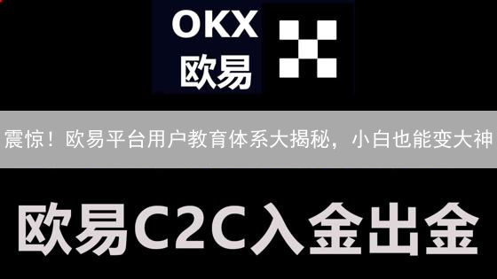 震惊！欧易平台用户教育体系大揭秘，小白也能变大神？