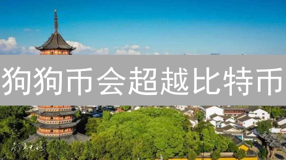 狗狗币会超越比特币？深度剖析其独特应用场景与潜力！