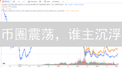币圈震荡，谁主沉浮？四大币种投资策略全解析！