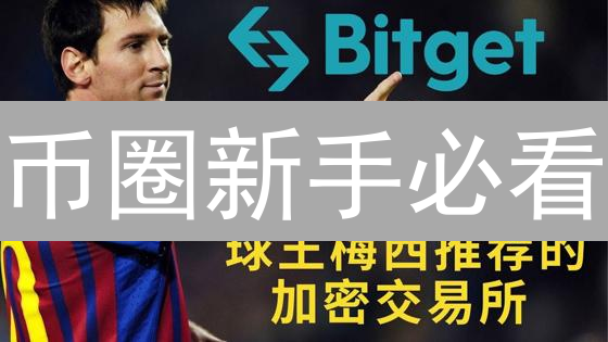 币圈新手必看：2024最全加密货币交易所选择指南，告别踩坑！