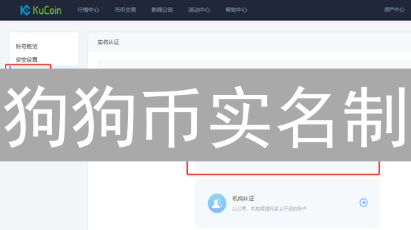 狗狗币实名制：匿名狂欢的终结？5大争议点揭秘！