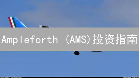 Ampleforth (AMS)投资指南：新手如何避坑？风险与机遇全解析！