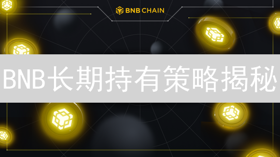 BNB长期持有策略揭秘：如何在币安生态中掘金？