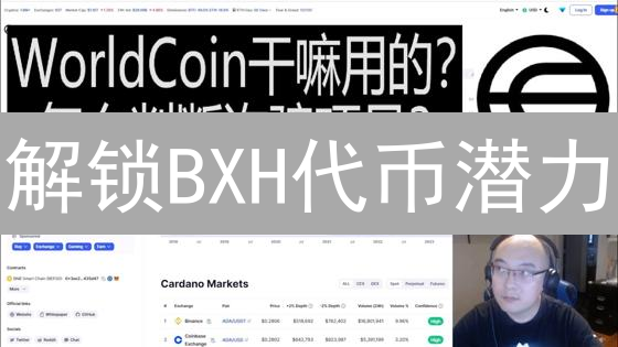 解锁BXH代币潜力：七大用途揭秘！🚀你不可错过的财富密码？