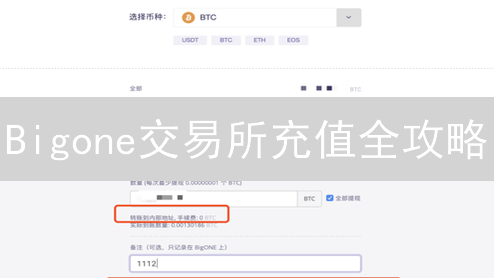 Bigone交易所充值全攻略：哪种法币方式最划算？避坑指南！