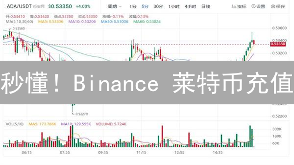 秒懂！Binance 莱特币充值：时间、流程、疑难解答 (2024最新)