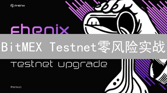 BitMEX Testnet零风险实战：新手必看交易指南！