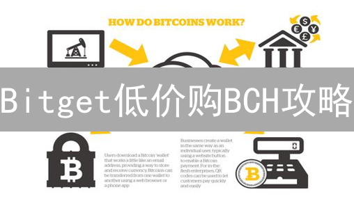 Bitget低价购BCH攻略：交易对、手续费、订单类型全解析！