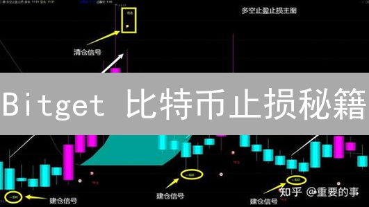Bitget 比特币止损秘籍：交易高手都在用的风控技巧！