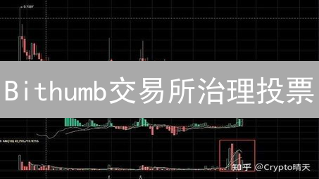 Bithumb交易所治理投票：规则解读与参与攻略，抓住决策权！