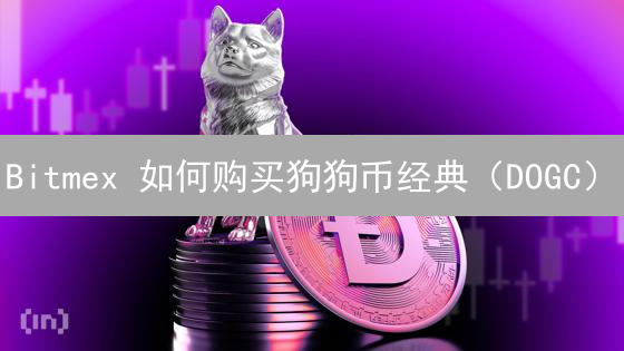 Bitmex 如何购买狗狗币经典（DOGC）？2024 年最新指南