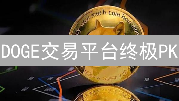 DOGE交易平台终极PK：Upbit vs HTX，谁是你的最佳选择？