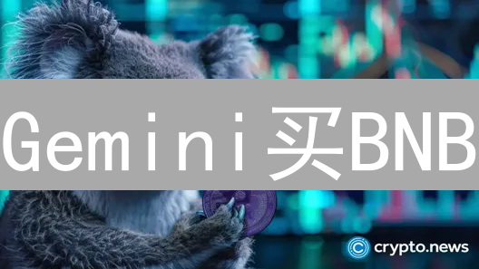 Gemini买BNB？2024最新攻略：新手也能轻松搞定！