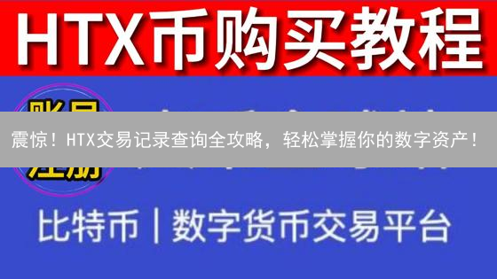 震惊！HTX交易记录查询全攻略，轻松掌握你的数字资产！