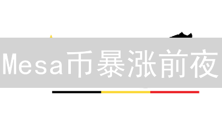 Mesa币暴涨前夜：抄底必看五大技巧！