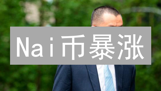 Nai币暴涨？价值评估前，先避开这三个坑！