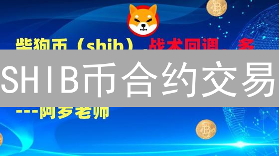SHIB币合约交易：高风险数字货币投机游戏