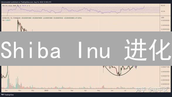 Shiba Inu 进化：迷因币的突围与元宇宙野心？深度解析 SHIB 生态！