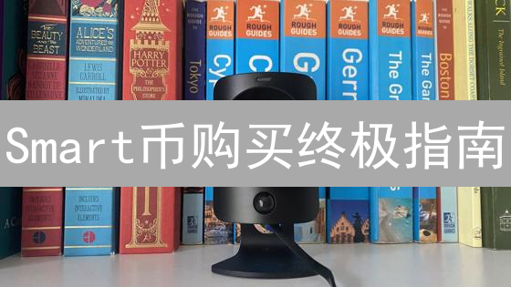 Smart币购买终极指南：新手也能轻松入门！