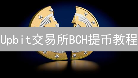 Upbit交易所BCH提币教程：5分钟搞定！新手必看！