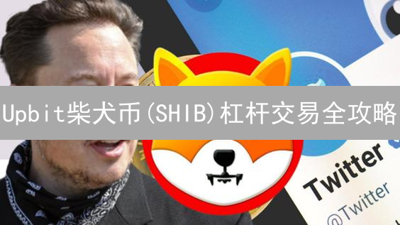Upbit柴犬币(SHIB)杠杆交易全攻略：新手也能轻松上手？