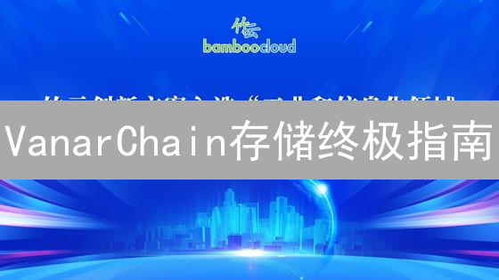 VanarChain存储终极指南：链上链下，哪个方案更胜一筹？