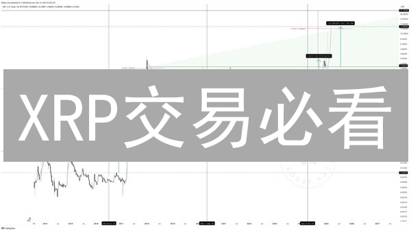 XRP交易必看：Bitget vs Bigone，哪个更适合你？