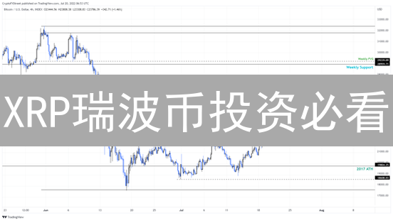 XRP瑞波币投资必看：策略、风险与机遇深度解析！