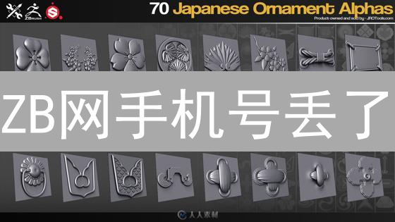ZB网手机号丢了？紧急自救指南，保卫你的数字资产！