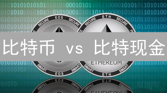 比特币 vs 比特现金：交易速度、费用与未来之战？